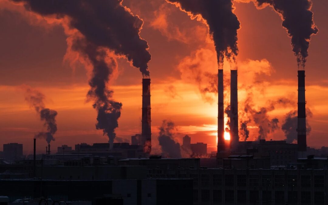 Carbon Trading: Policy Report